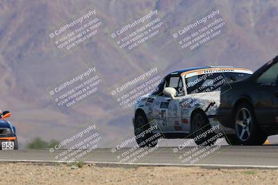 media/Oct-14-2023-Lucky Dog Racing (Sat) [[cef75db616]]/1st Stint Turn 9 Entry/